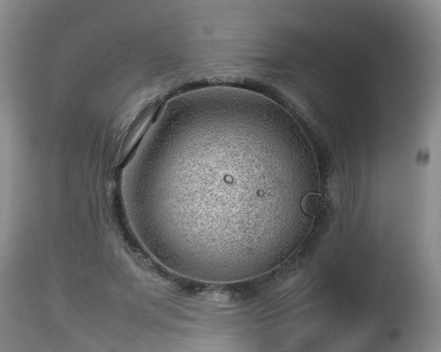 X0000112810687200908281507