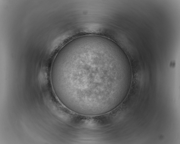 X0000112810688200908281507