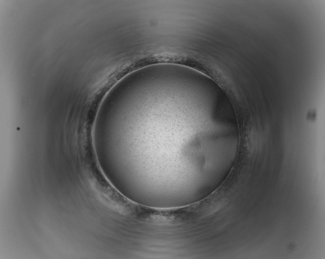 X0000112810690200908281507