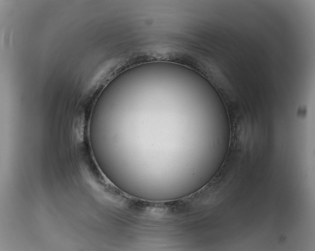X0000112810694200908281507
