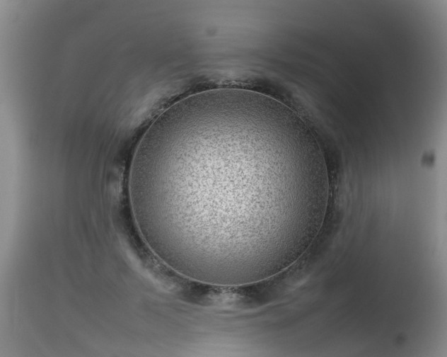 X0000112810695200908281507