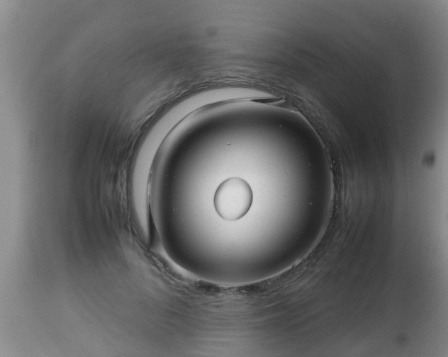 X0000112810696200908281507