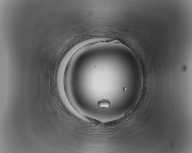 X0000112810697200908281507