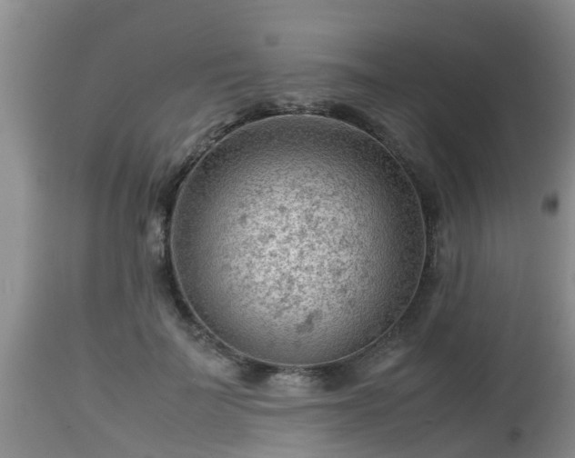 X0000112810699200908281507