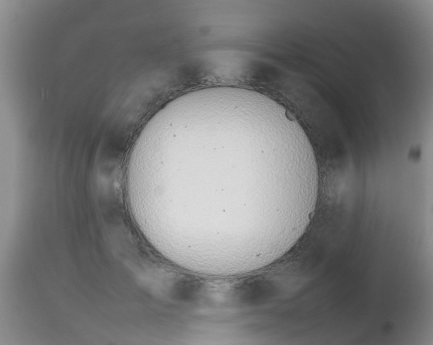 X0000112810701200908281507