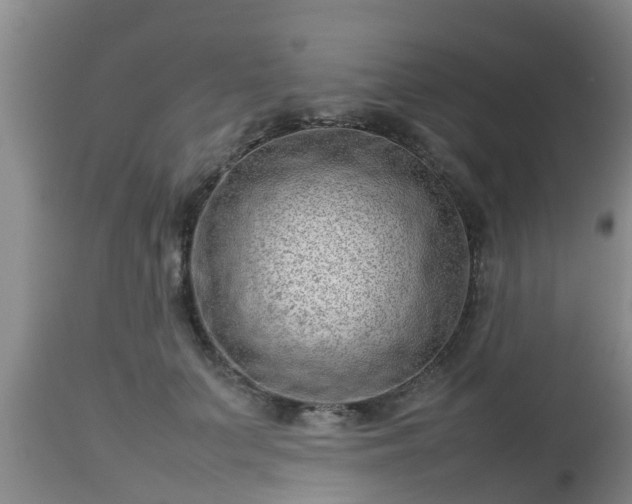 X0000112810703200908281507