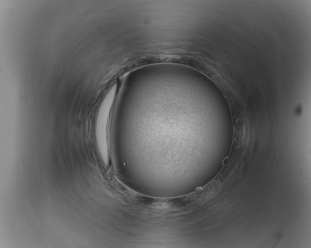 X0000112810704200908281507