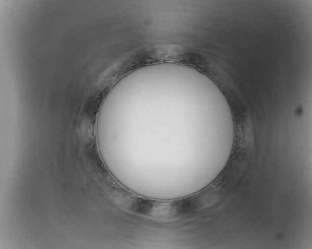 X0000112810705200908281507