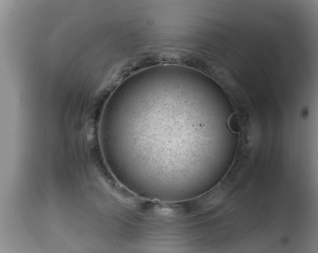 X0000112810706200908281507