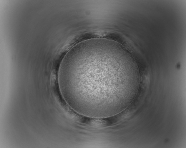 X0000112810707200908281507