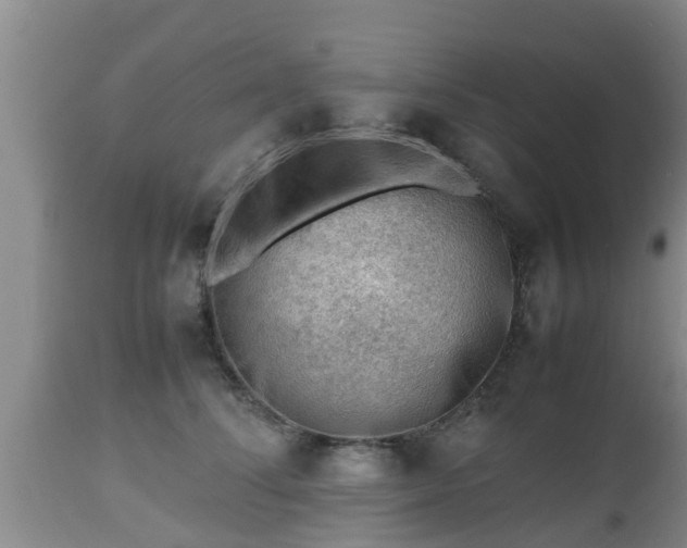 X0000112810708200908281507