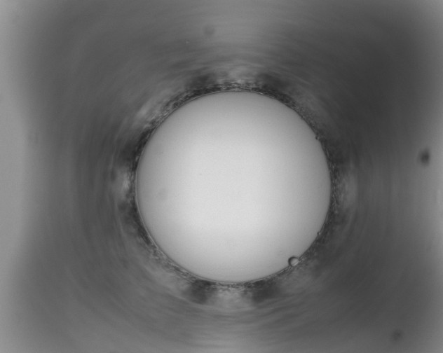 X0000112810709200908281507