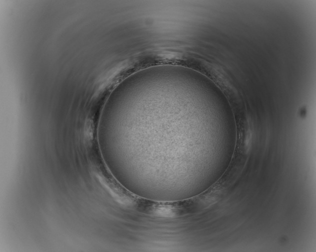 X0000112810710200908281507