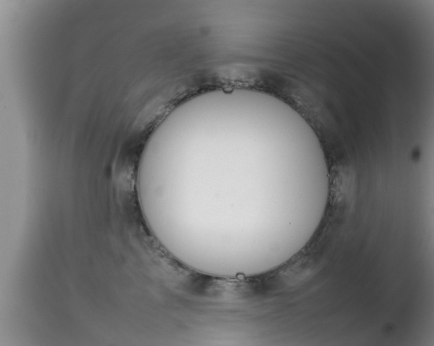 X0000112810713200908281507