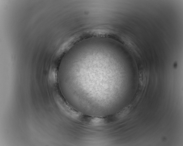 X0000112810718200908281507