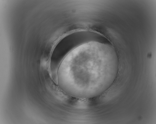 X0000112810720200908281507