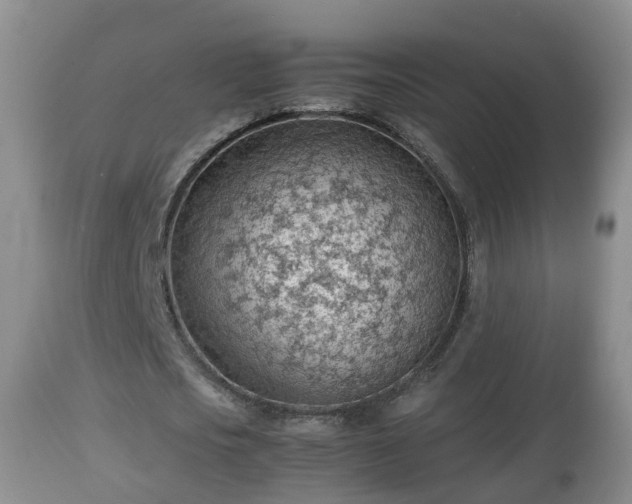 X0000112810721200908281506