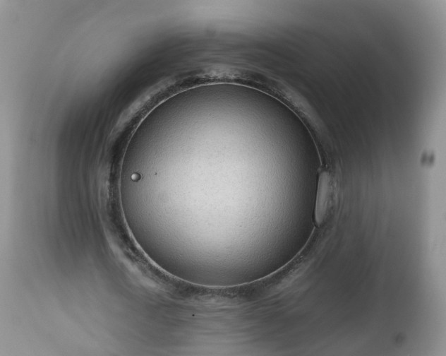 X0000112810722200908281506