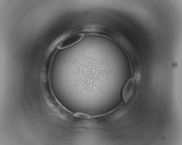 X0000112810724200908281506