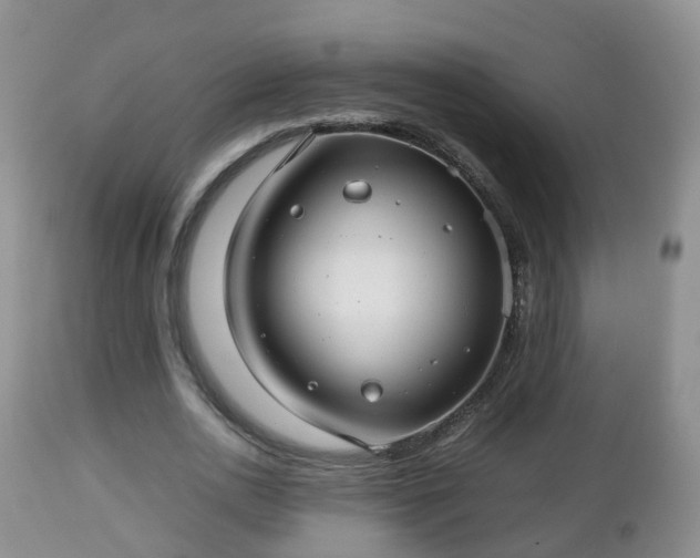 X0000112810726200908281506
