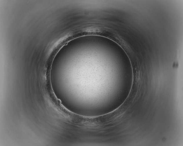 X0000112810727200908281506