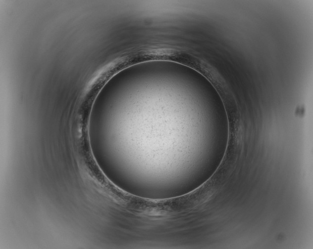 X0000112810731200908281506