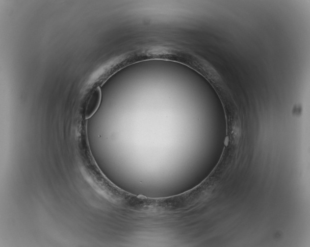 X0000112810732200908281506