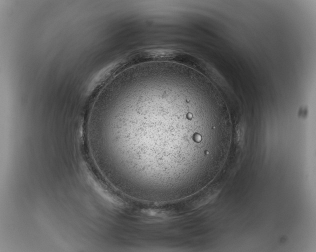 X0000112810733200908281506