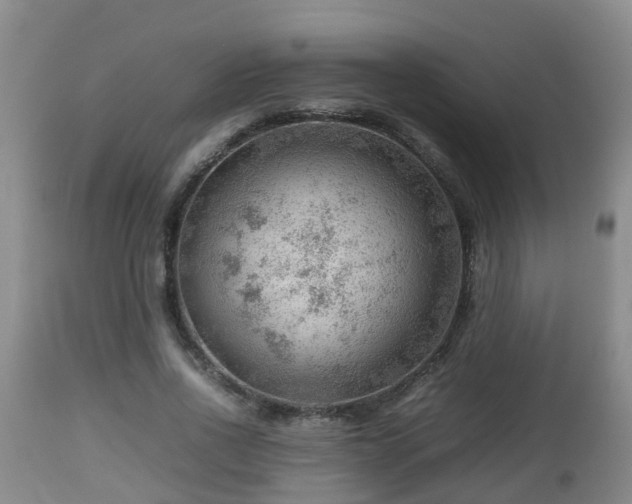 X0000112810734200908281506