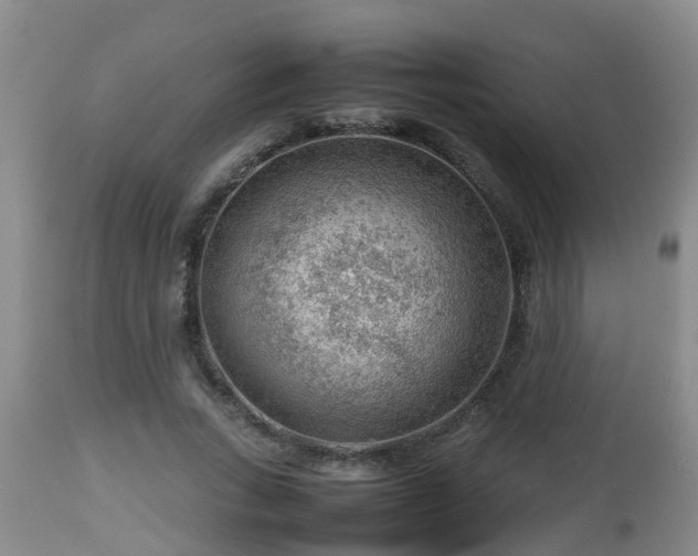 X0000112810735200908281506