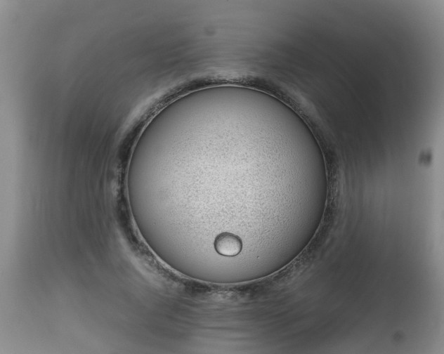 X0000112810736200908281506