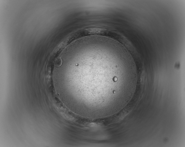 X0000112810737200908281506