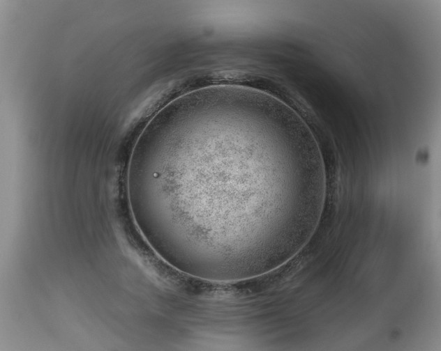 X0000112810738200908281506