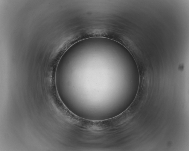 X0000112810739200908281506