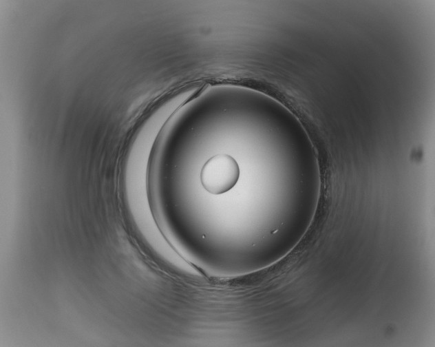 X0000112810740200908281506