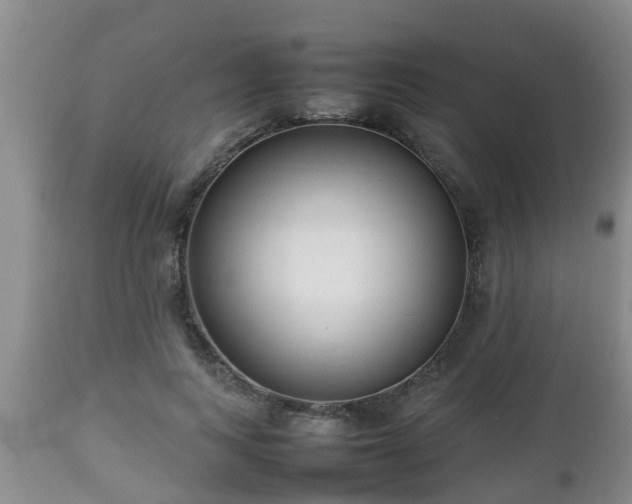 X0000112810743200908281506