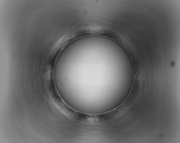 X0000112810744200908281506