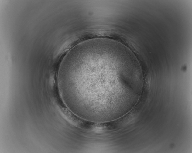 X0000112810746200908281507