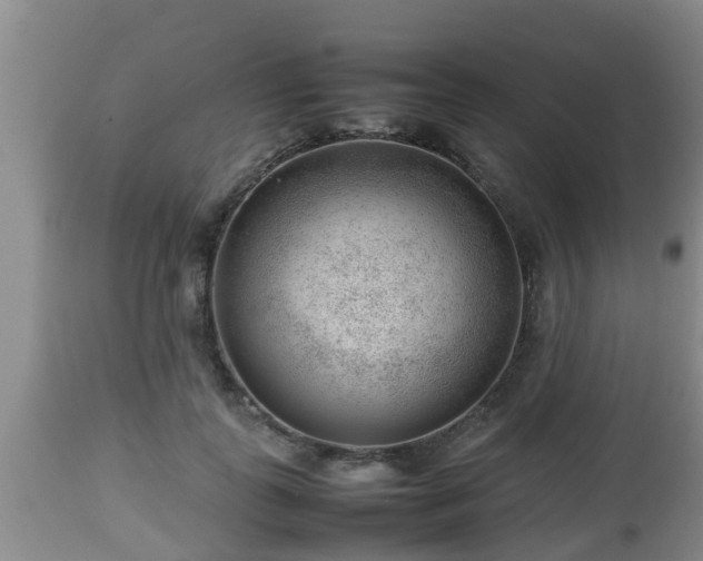 X0000112810747200908281507