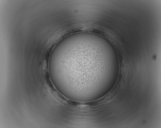 X0000112810748200908281507