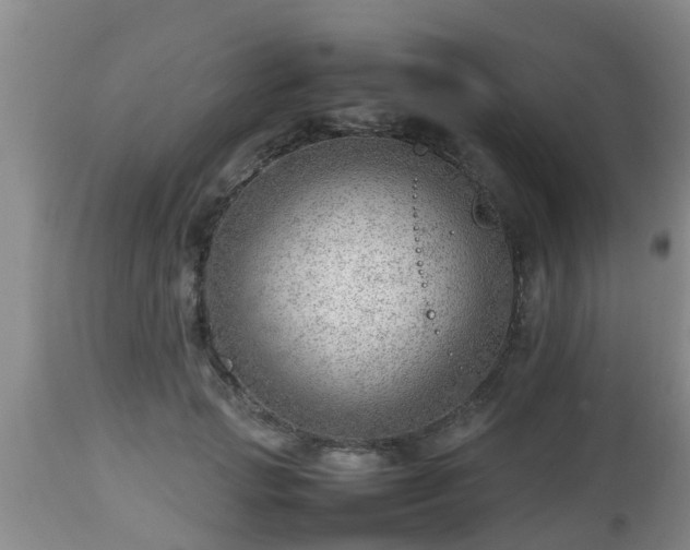 X0000112810749200908281507