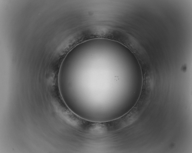 X0000112810750200908281507