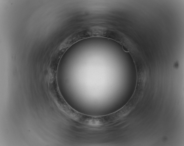 X0000112810751200908281507
