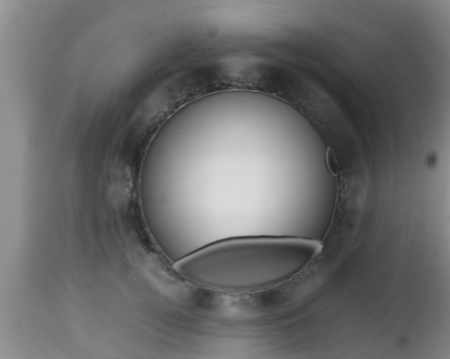 X0000112810752200908281507