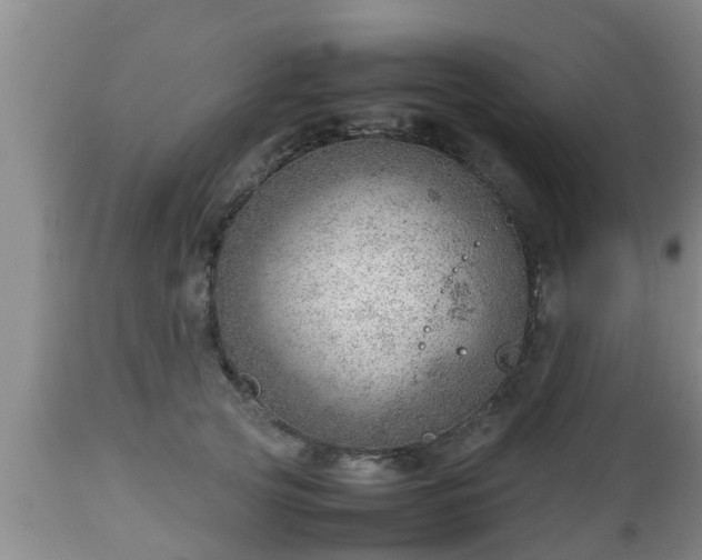 X0000112810753200908281507