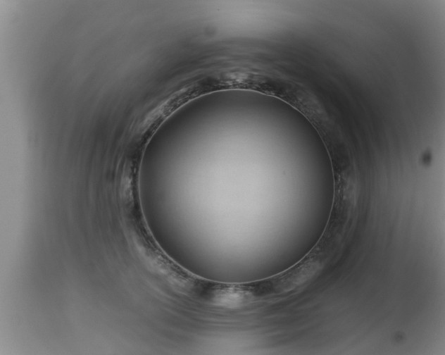 X0000112810754200908281507