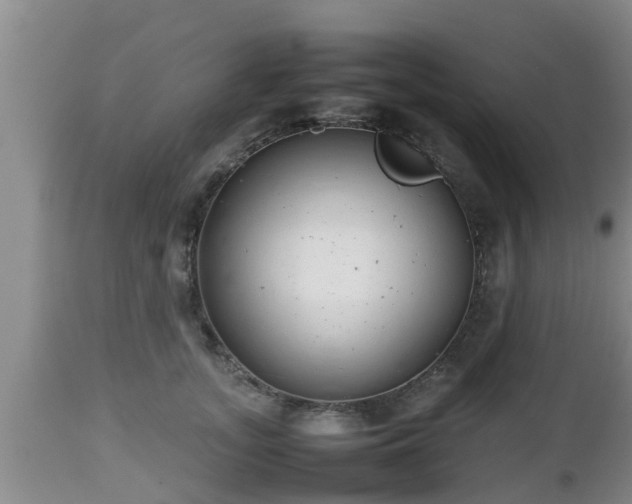 X0000112810755200908281507