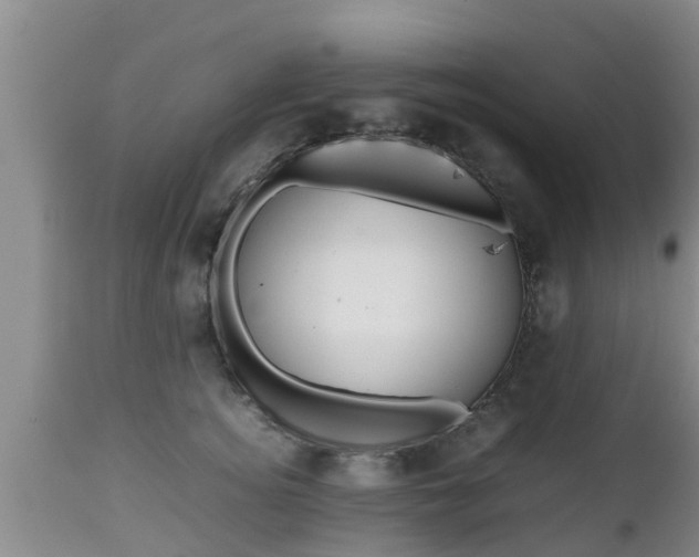 X0000112810756200908281507