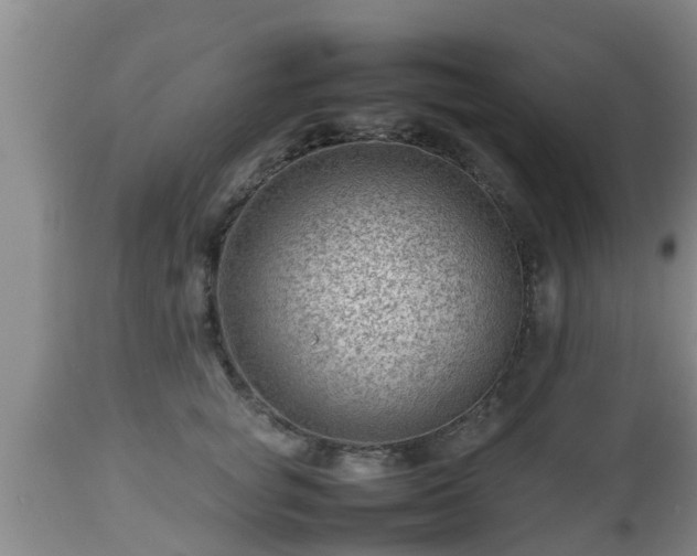 X0000112810757200908281507