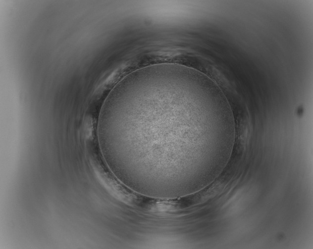 X0000112810758200908281507